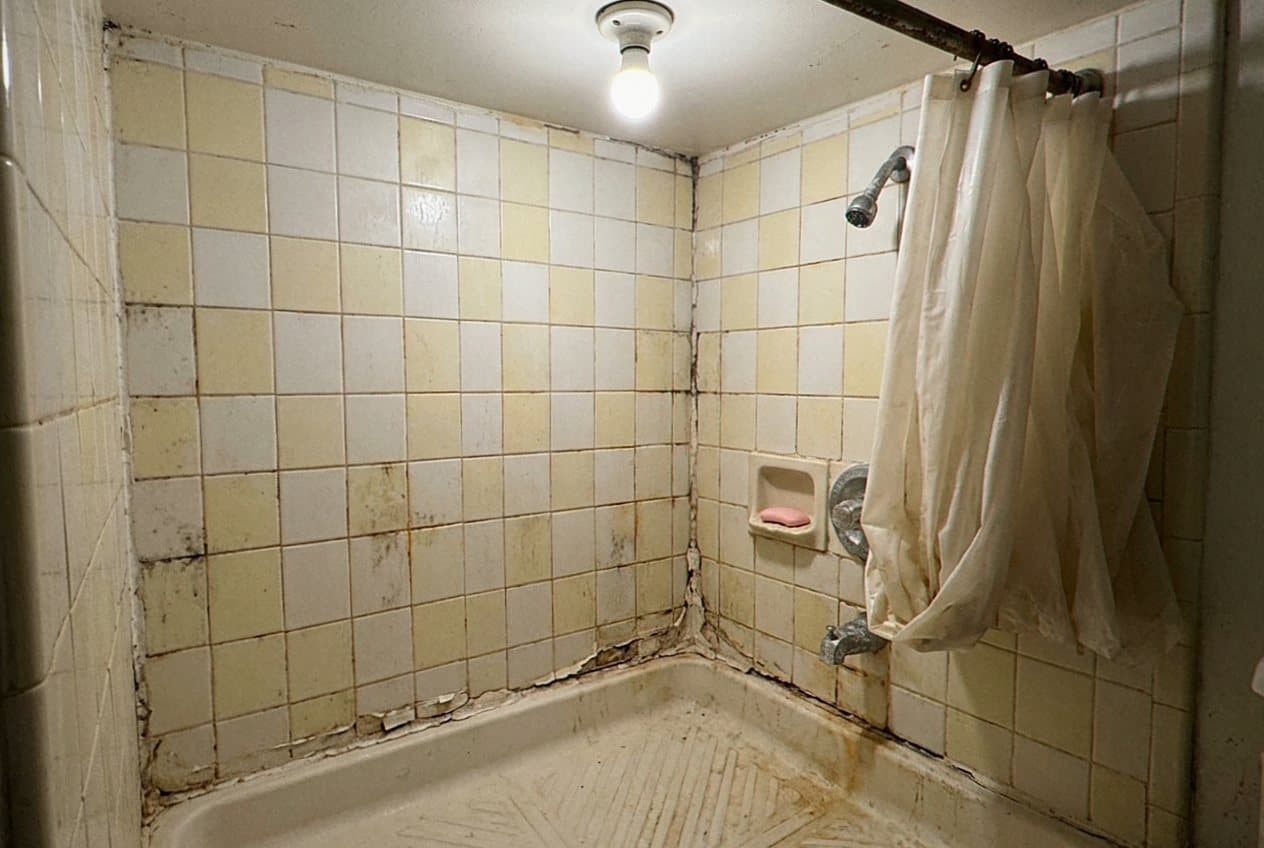 Moldy dated shower tile before renovation